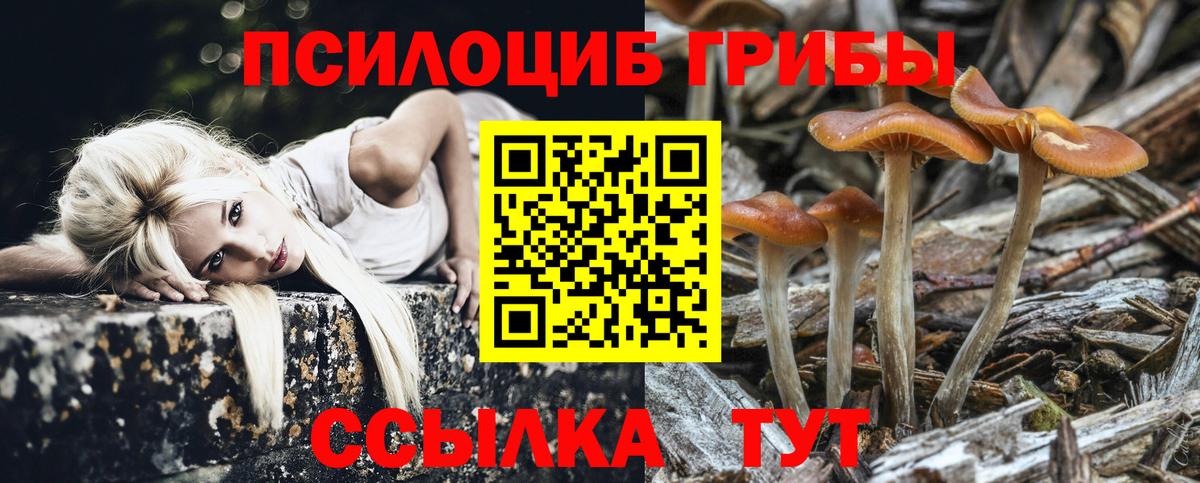 где продают наркотики  Вход с VPN  Азов  Псилоцибиновые грибы Psilocybine cubensis  Галлюциногенные грибы Psilocybe 